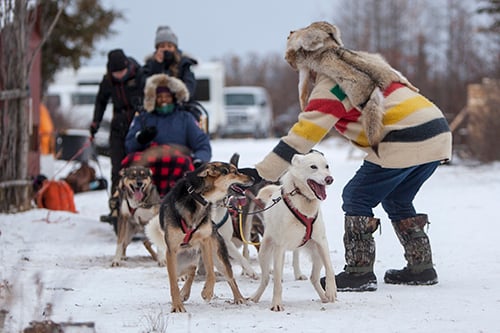 2020_ASSET_JessicaBurtnick_128 Sled dogs in Churchill on a tundra buggy tour