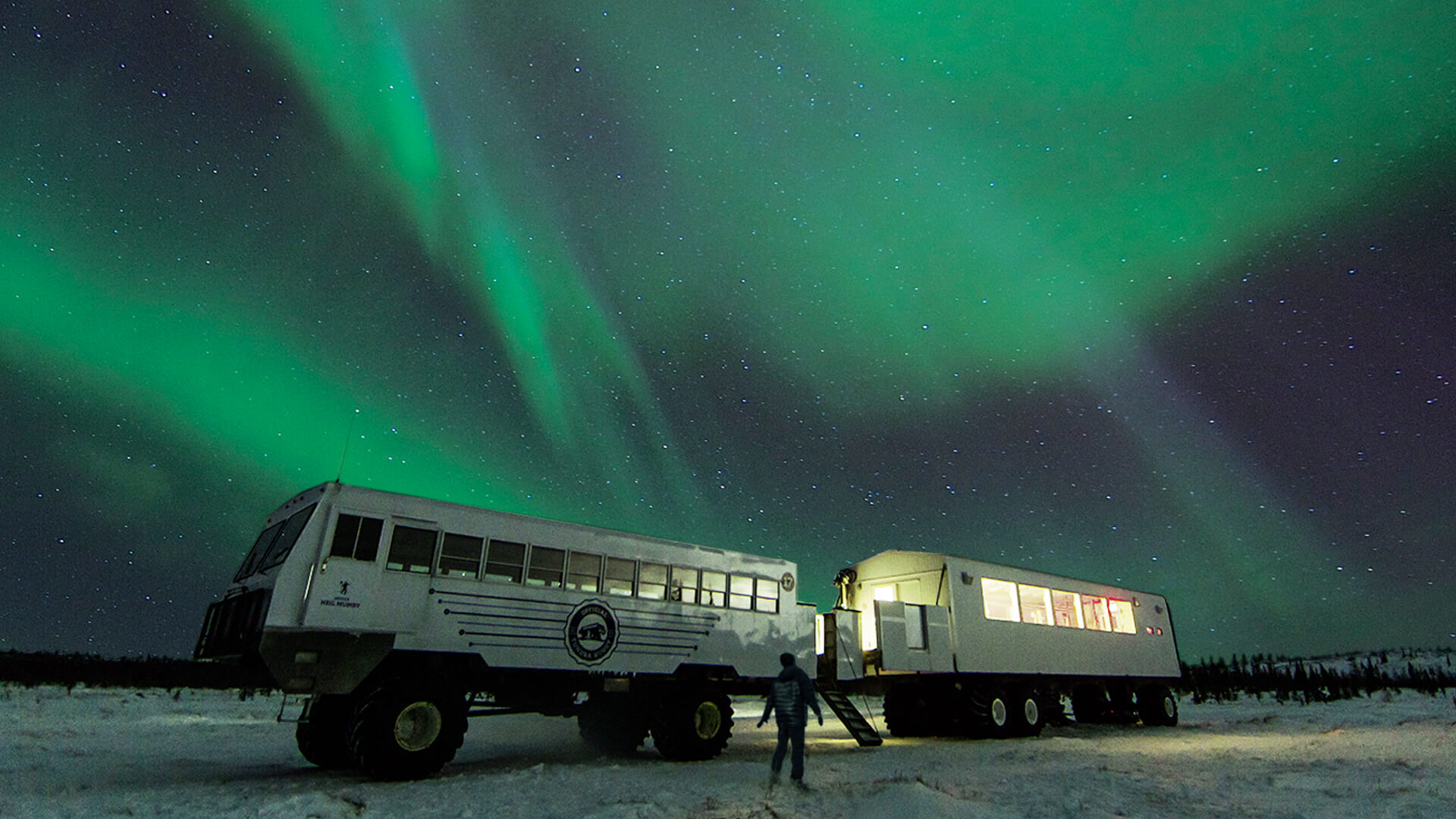 Dan's Diner pop-up restaurant beneath the northern lights in Churchill, Canada.