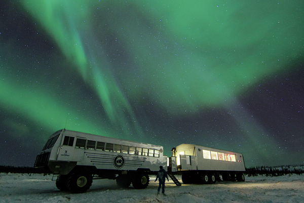 A person standing beneath the northern lights in Churchill, Canada