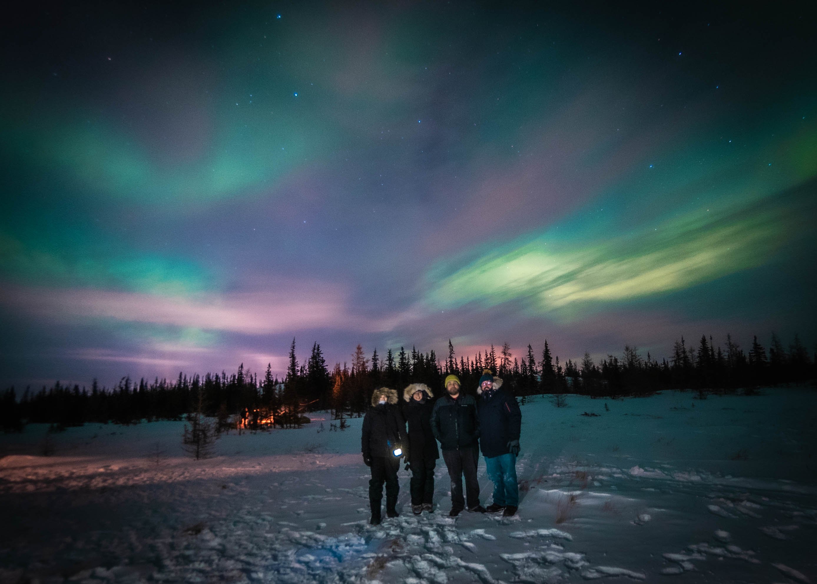 A group of people beneath the northern lights of Churchill, Canada