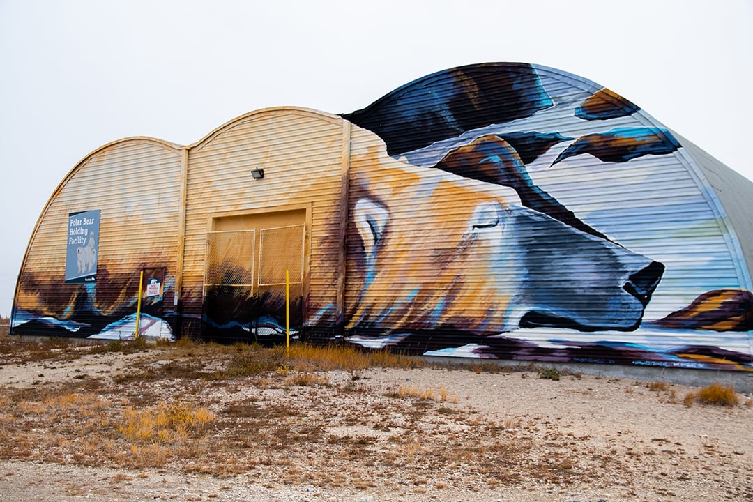 The Polar Bear Holding Facility painted by Kal Barteski.