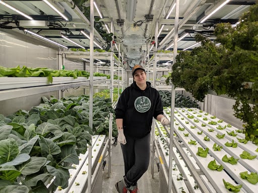 Carly Basler, harvesting fresh greens for the locals in Churchill, Manitoba. 