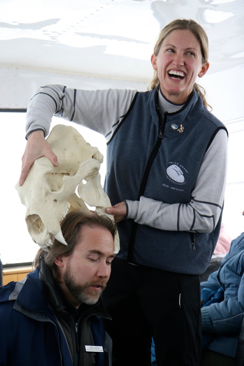 A scientist demonstrates that a polar bear can fit a human head in its jaws with a polar bear skull prop.