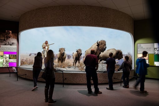 Museum visitors look at a depiction of the buffalo hunt in the Manitoba Museum.