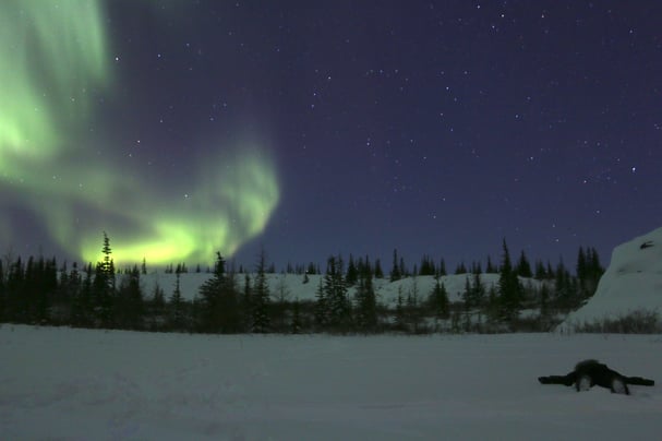 The northern lights above Churchill, Canada