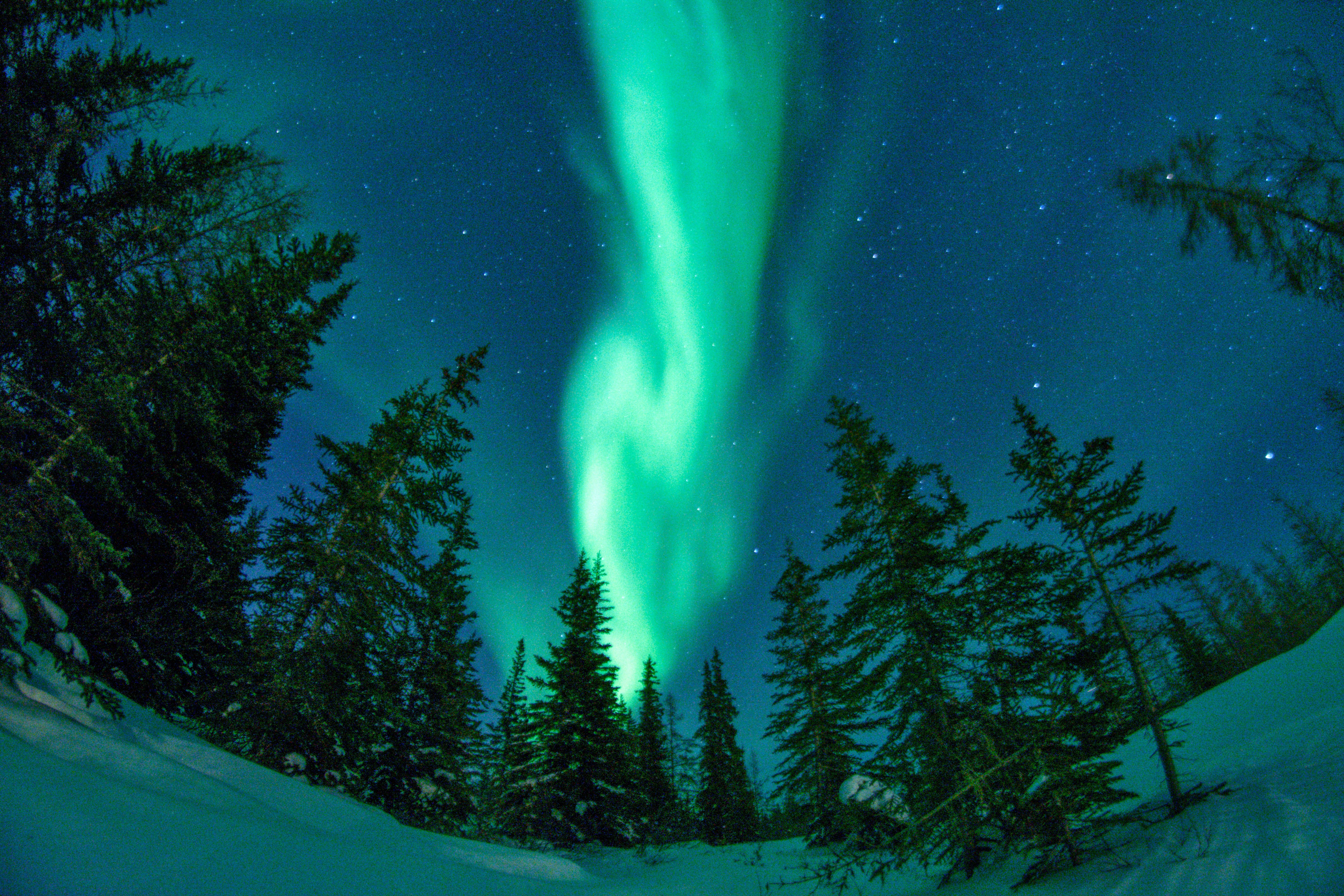 Northern Lights facts: The things you didn't know