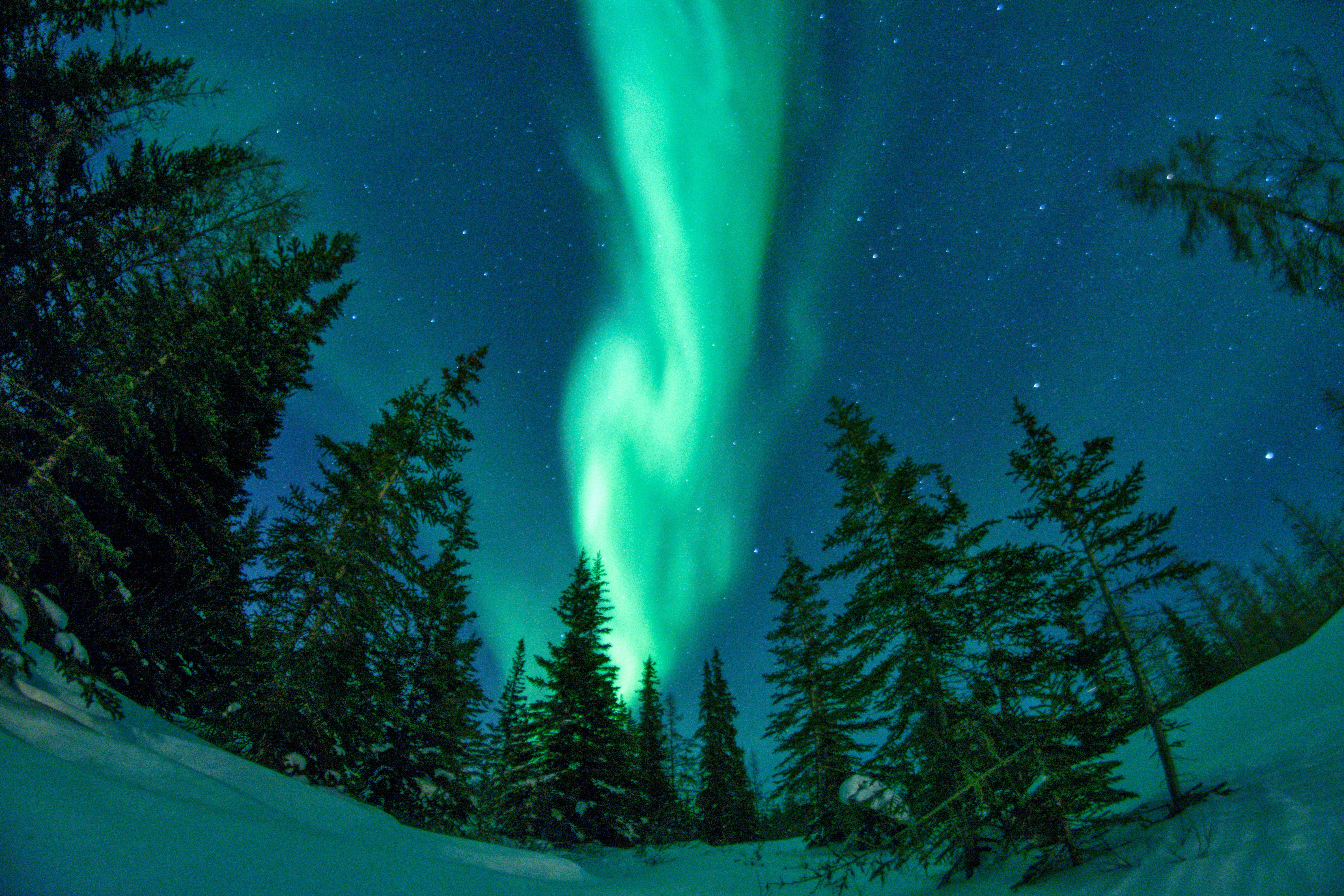 Northern lights on the tundra in Churchill, Manitoba, Canada