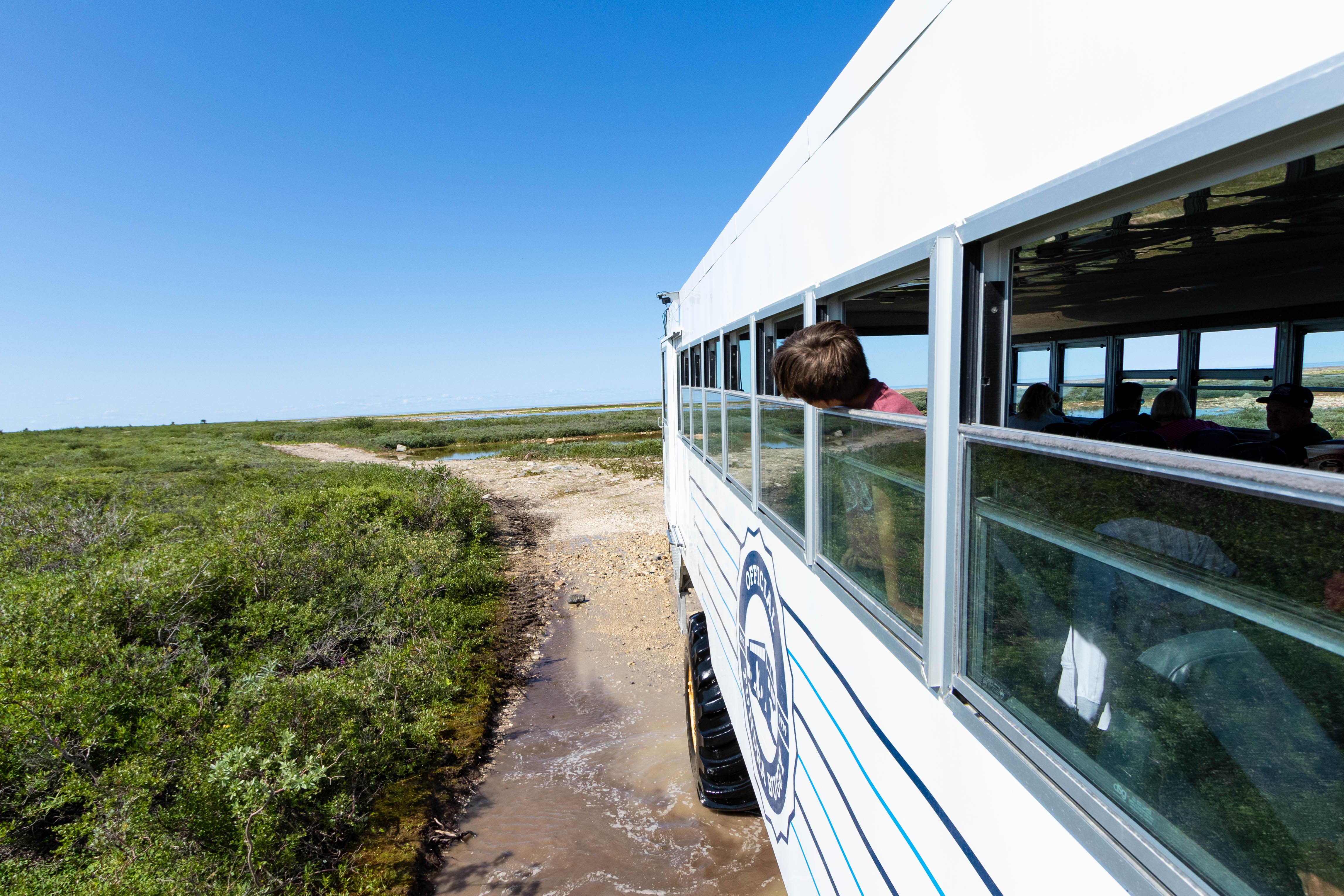 View from the Tundra Buggy in Churchill, Manitoba.