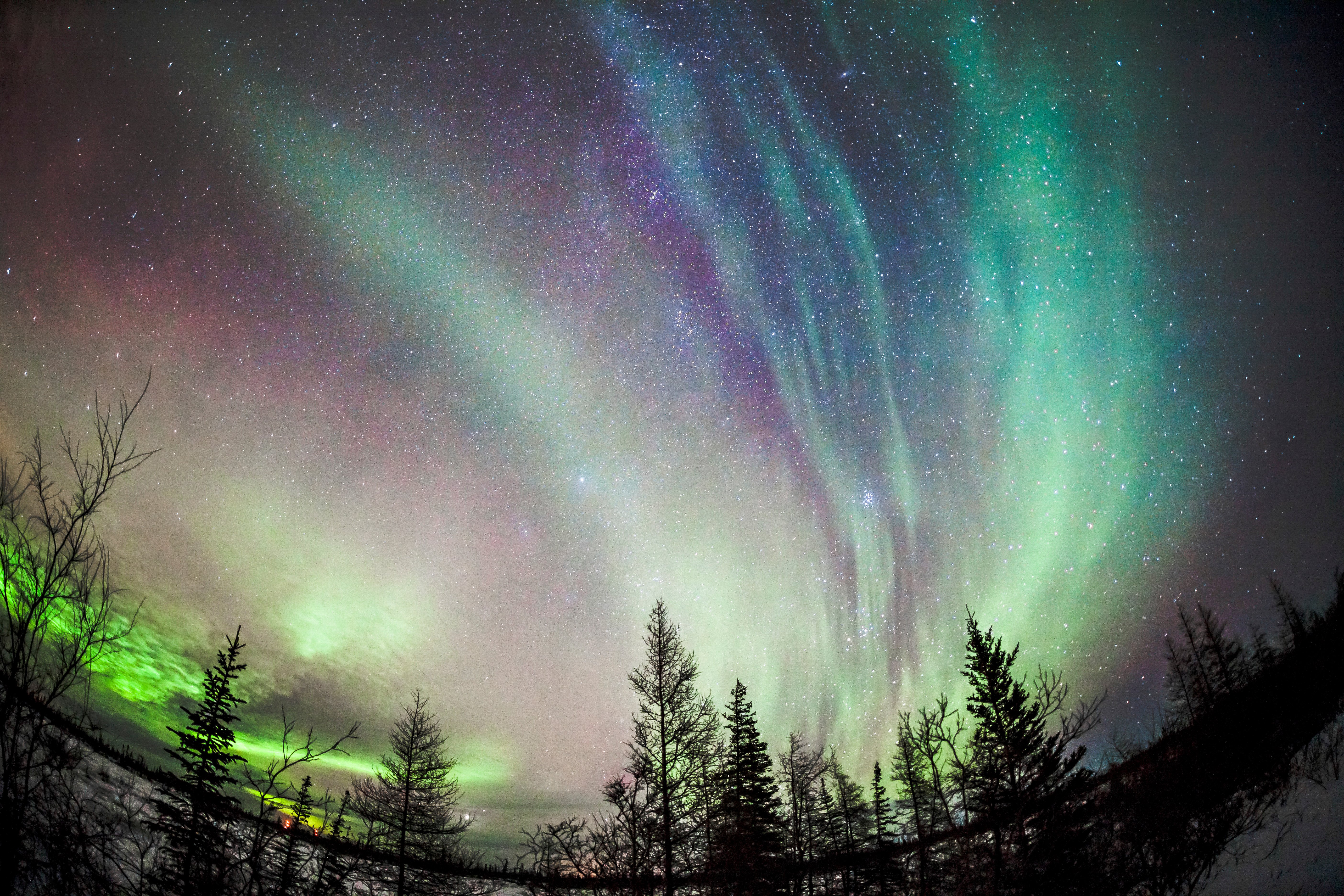 Northern lights dancing overhead in Churchill, Manitoba. Photo by Simon Gee.