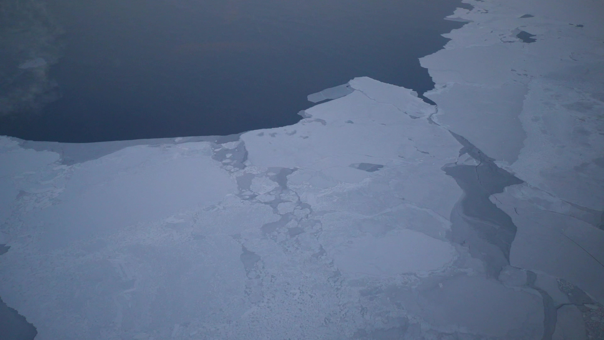 03-Horizontal-Polar-Bears-International-Arctic-Sea-Ice-thumb