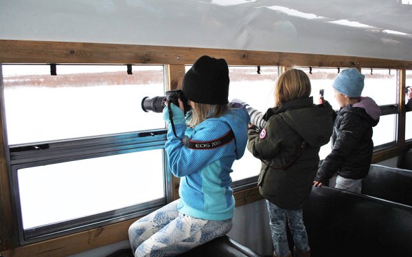 Children on a family adventure take photos of polar bears from the window of a Tundra Buggy&reg;